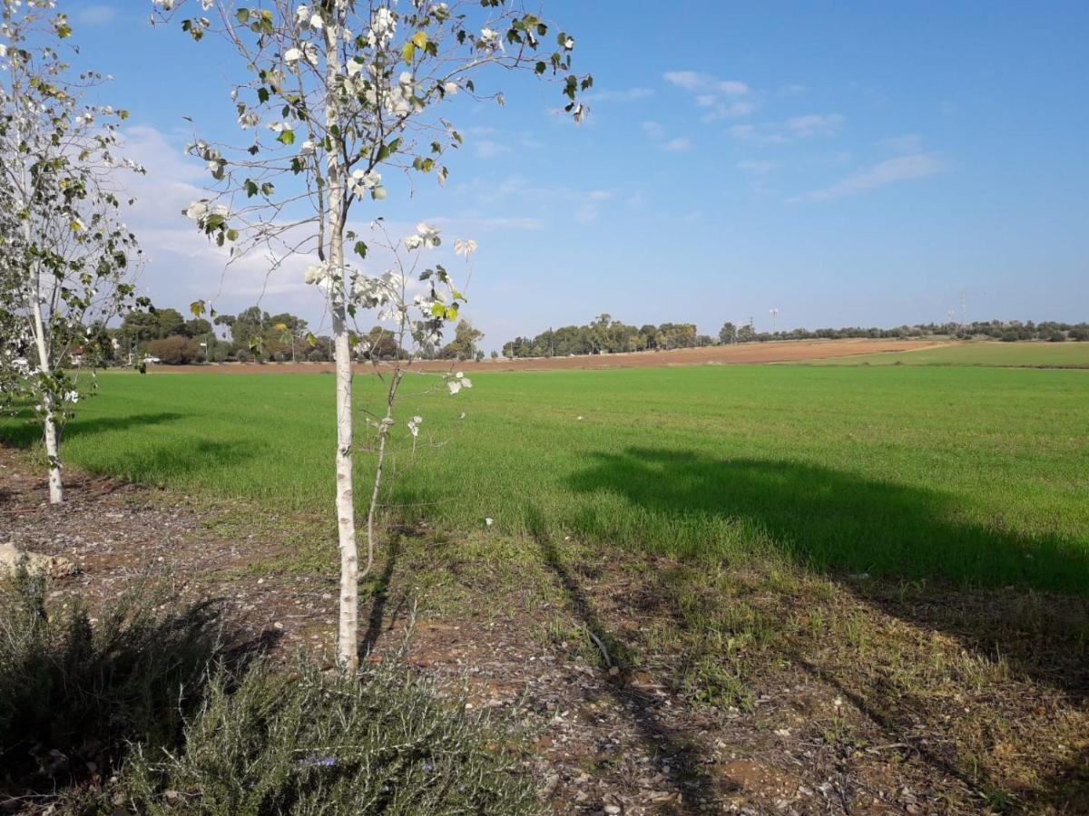 Kibbutz Hatzor A Room Close To Ashdod Hatzor Ashdod Экстерьер фото